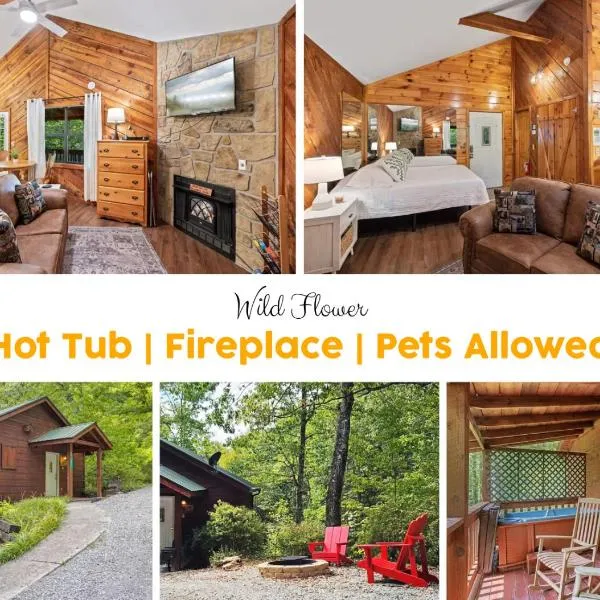 Sevierville Cabin W Mountain Views & Hot Tub，位于赛维尔维尔的酒店
