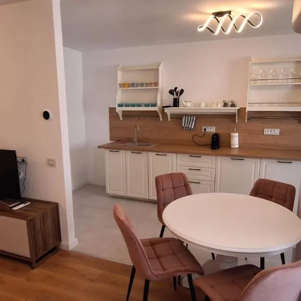 Apartament Elite，位于克卢日-纳波卡的酒店