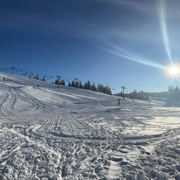 Studio pied des pistes Les Gets - 4 pers rénové，位于莱热的酒店