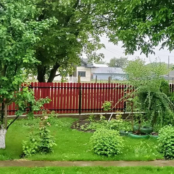 Costi&Miha，位于博托沙尼的酒店