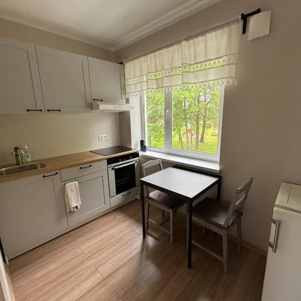 Obinitsa Apartment，位于Obinitsa的酒店