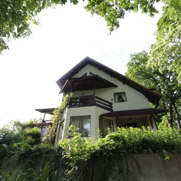 Casa Mariei - Vila Breaza，位于Nistoreşti的酒店