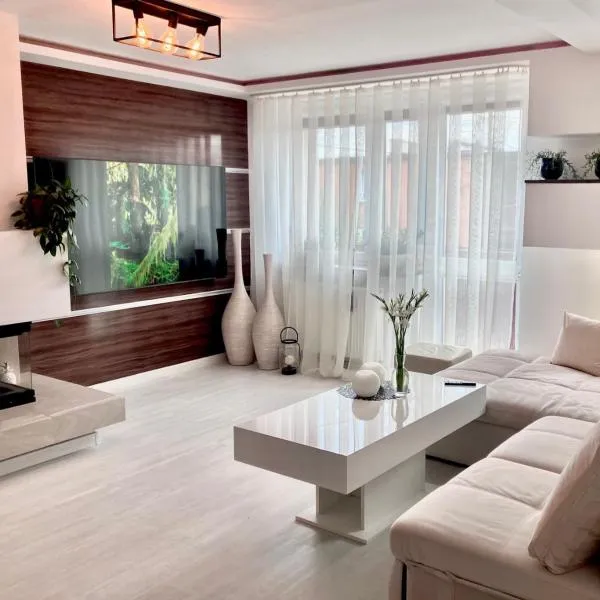 Biały Apartament，位于皮什的酒店