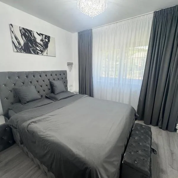 Apartament Silver Nest Comanesti，位于Comăneşti的酒店