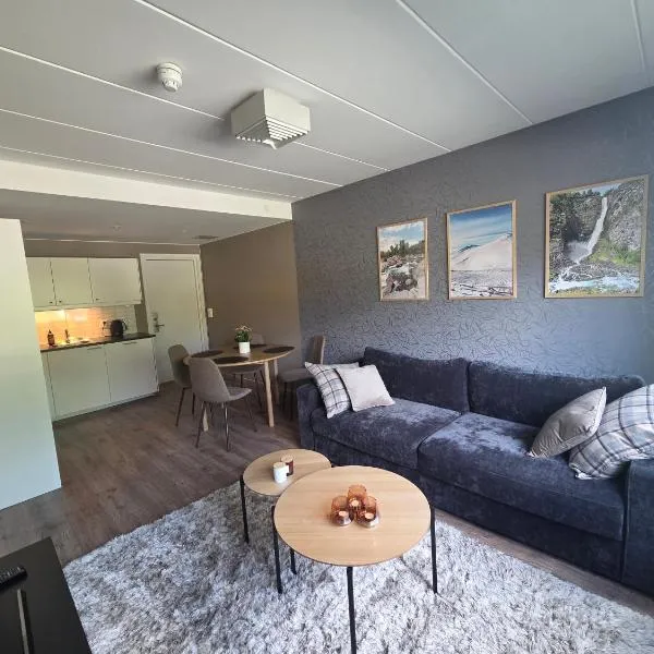 Oppdal Sentrum Apartment - vasking, sengetoy og haandklær er inkludert，位于奥普达尔的酒店