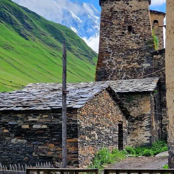 Nizharadze's Tower，位于乌树故里的酒店