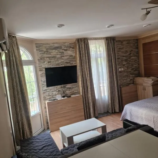 Chaplin Apartment，位于帕拉钦的酒店