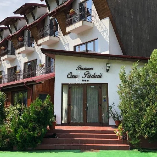 Pensiunea Casa Padurii,位于Văleni的酒店