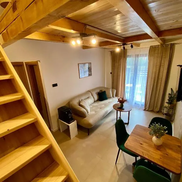 Taca House - Airport apartman,位于Surčin的酒店