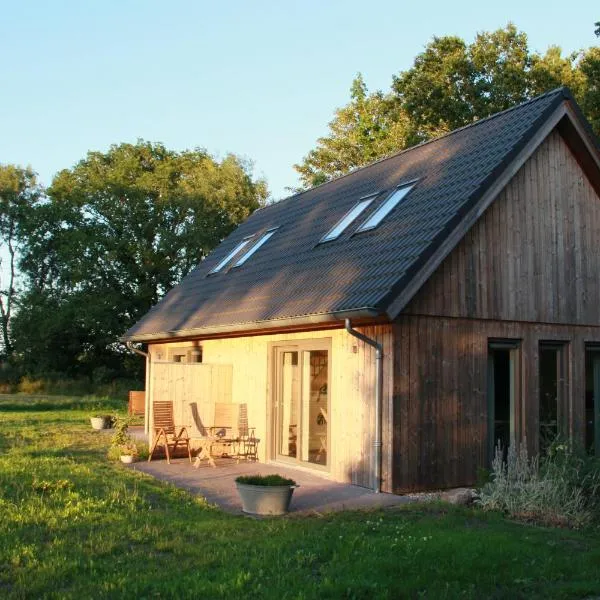 Vakantieverblijf Aan de Vaart，位于Tynaarlo的酒店