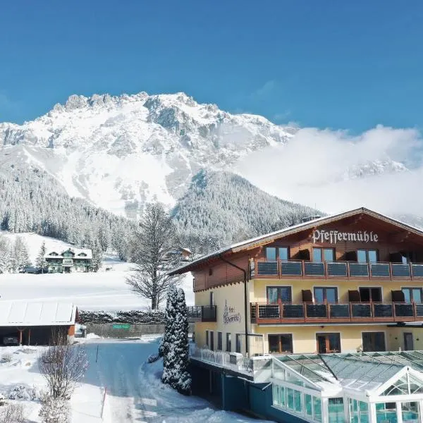 Aparthotel Pfeffermühle，位于拉姆绍达赫斯坦的酒店