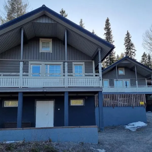 Villa Magnolia 2 Himos，位于耶姆赛的酒店