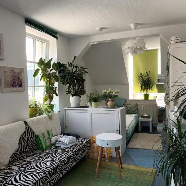 Gästewohnung "Am Otto-Dix-Haus"，位于格拉的酒店