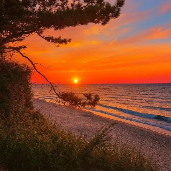 Domki Nad Morzem IDPB，位于贡斯基的酒店