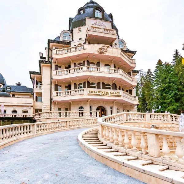 Festa Winter Palace Hotel，位于波罗维茨的酒店