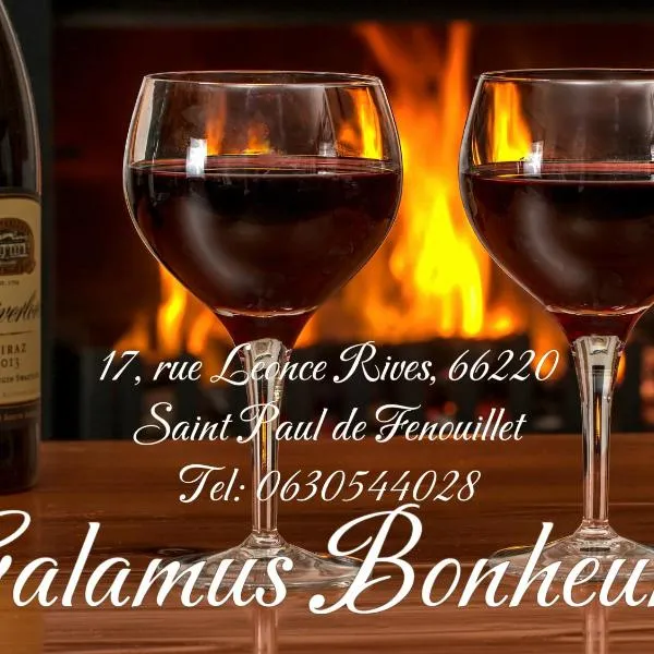 Galamus Bonheur ! 2-3 jours si vous restez, le prix est bien baissé !，位于圣保罗德费努耶的酒店