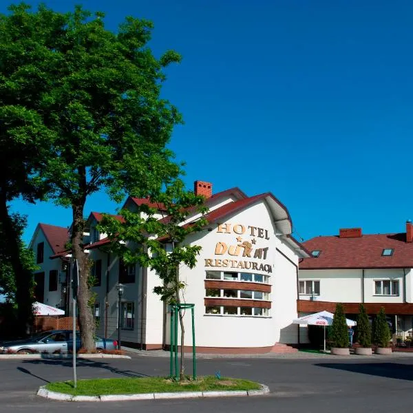 杜卡特酒店，位于缅济热茨的酒店