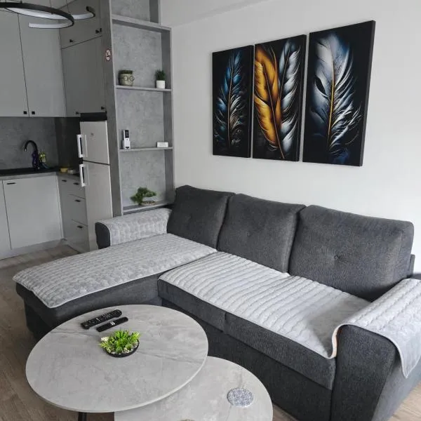 Apartman Dioniz Fojnica，位于福伊尼察的酒店