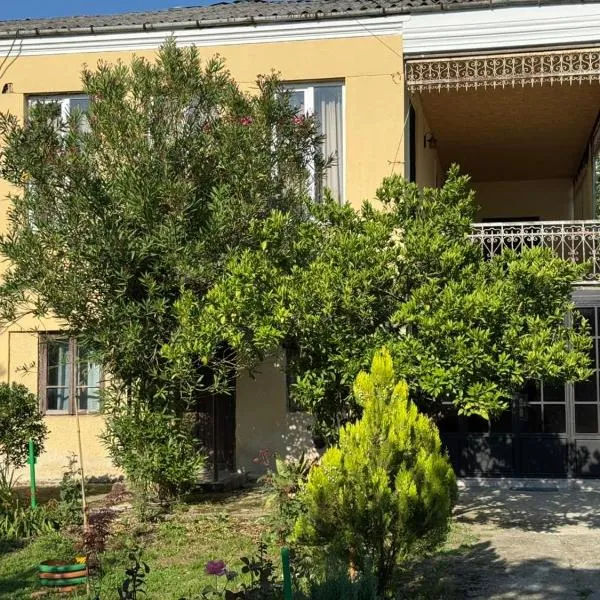 Hotel DADU，位于Samtredia的酒店