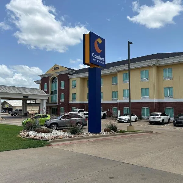 Comfort Inn & Suites Waco Woodway，位于韦科的酒店