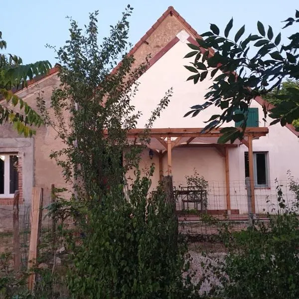 Le Gîte de la ferme Davitali，位于圣迪兹尔的酒店