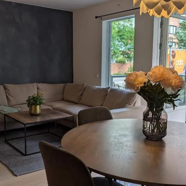 Apartment Grünerløkka，位于奥斯陆的酒店