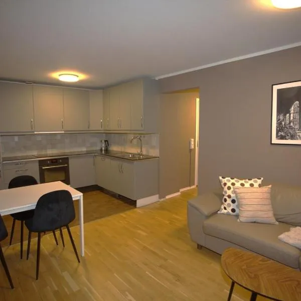 Modern Grünerløkka gem，位于奥斯陆的酒店