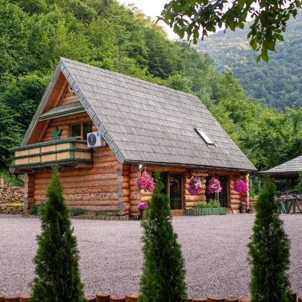 Villa Bosnia，位于Donji Vakuf的酒店