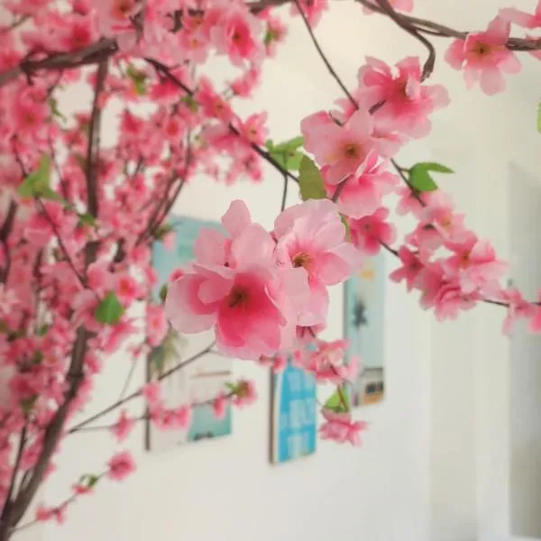 岩石之上旅馆，位于科帕罗的酒店