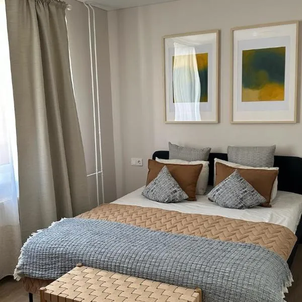 Maironis apartment - Cozy apartment in Raseiniai，位于拉塞尼艾的酒店