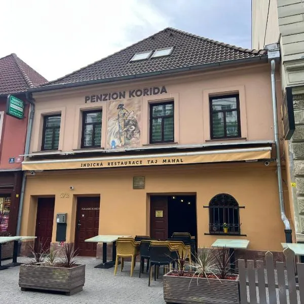 Penzion Korida，位于拉贝河畔乌斯季的酒店