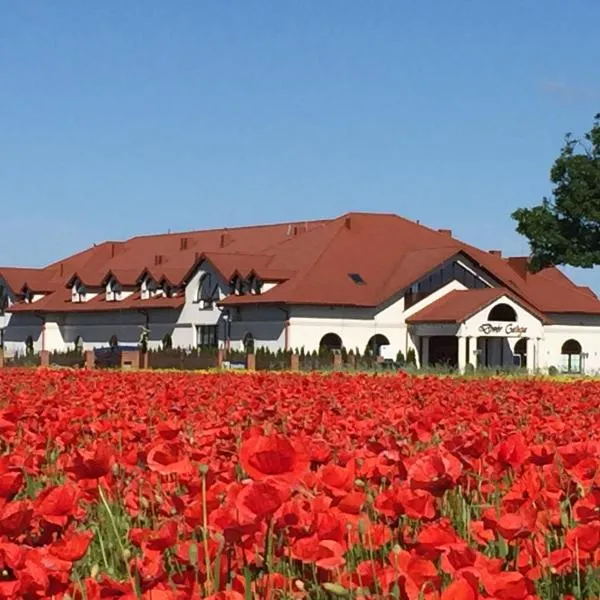 Hotel Dwór Galicja，位于Grębów的酒店