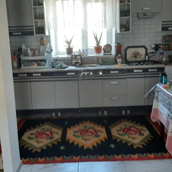 Camera in Casă de la țară lângă Vinăria Purcari Room in House in the village near Purcari Winery，位于Purcari的酒店