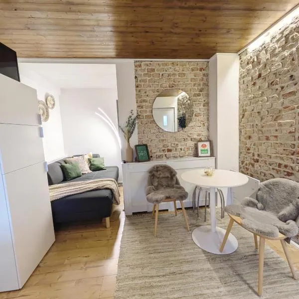 Suite 13 Loft mit Terrasse，位于Teublitz的酒店