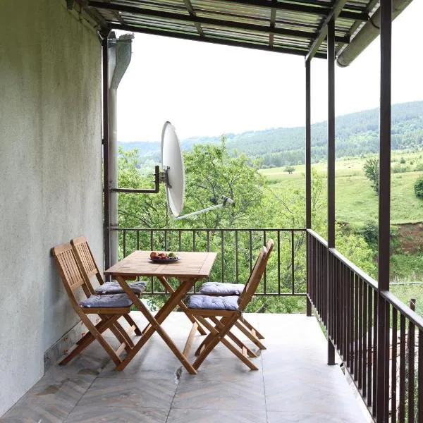 Tesaran Stepanavan Guest House, Apart Hotel，位于斯捷潘纳万的酒店