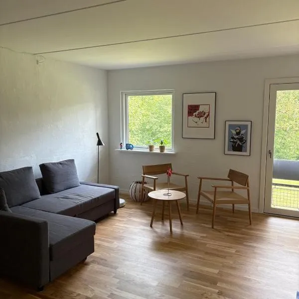 City central appartment，位于欧登塞的酒店