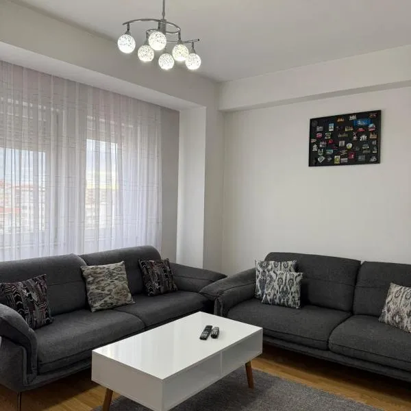 LS Apartment，位于Kosovo Polje的酒店