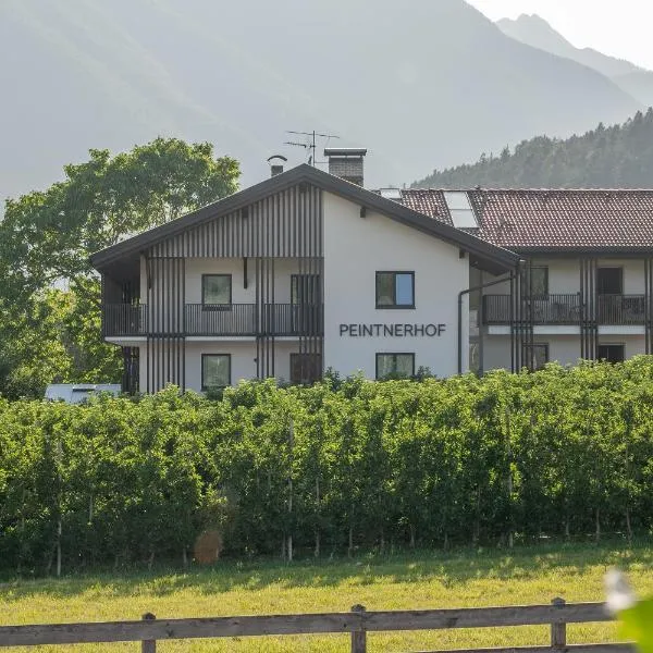 Peintnerhof Appartments & Zimmer，位于纳兹-夏韦斯的酒店