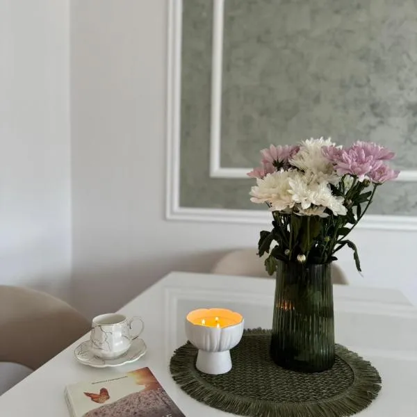 Apartman Centar，位于泰斯利奇的酒店