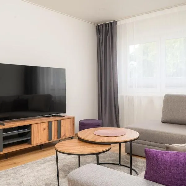 Mainiidu Apartment，位于派尔努的酒店