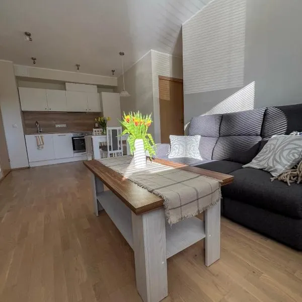 Maramaa Home Viljandi，位于维尔扬迪的酒店