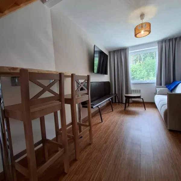 Apartamenty Młyn，位于Męcikał的酒店
