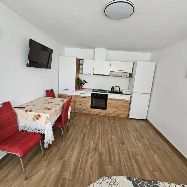 White Apartment Peștera Urșilor，位于Chişcău的酒店