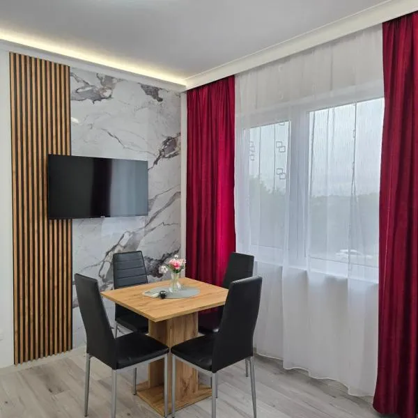 Jessy - Jes Lux Apartments Free Private Parking，位于蒂米什瓦拉的酒店