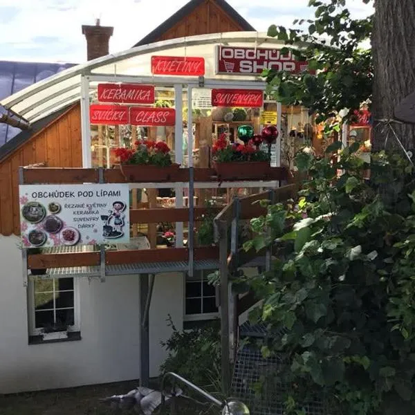 Apartmány pod Lípami - Harrachov，位于哈拉霍夫的酒店