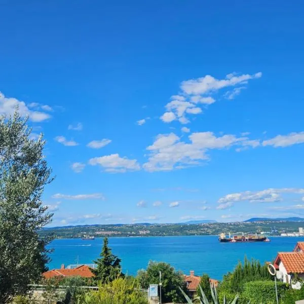 Žusterna Seaside Apartment，位于科佩尔的酒店