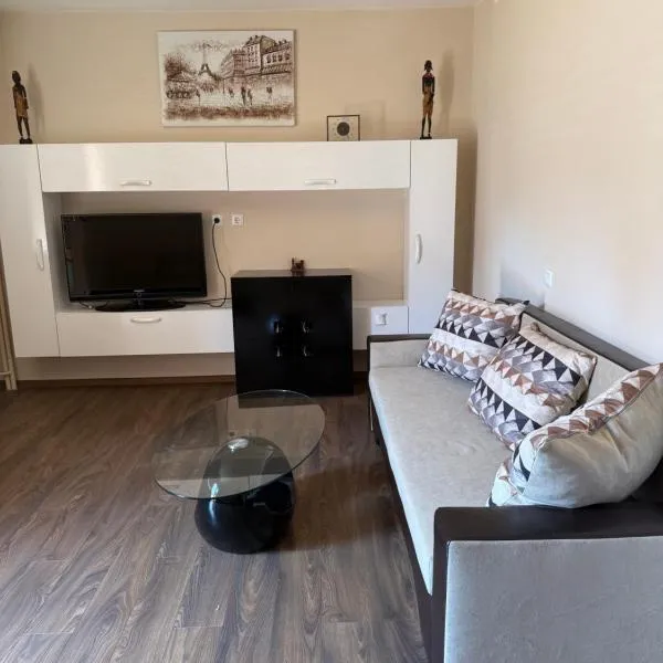 Central apartments Pleven，位于普列文的酒店