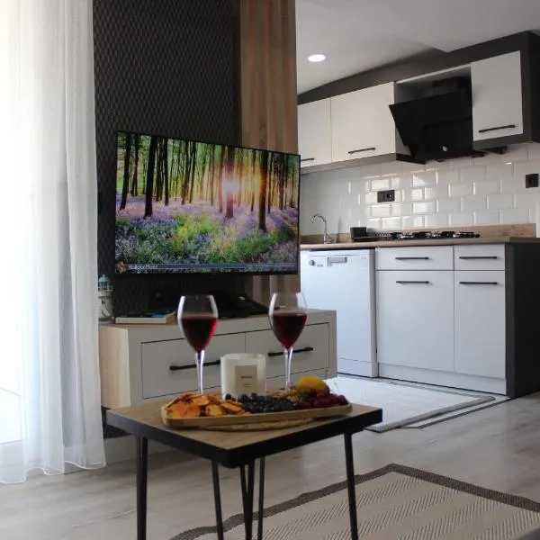 Cosy Suite，位于安塔利亚的酒店