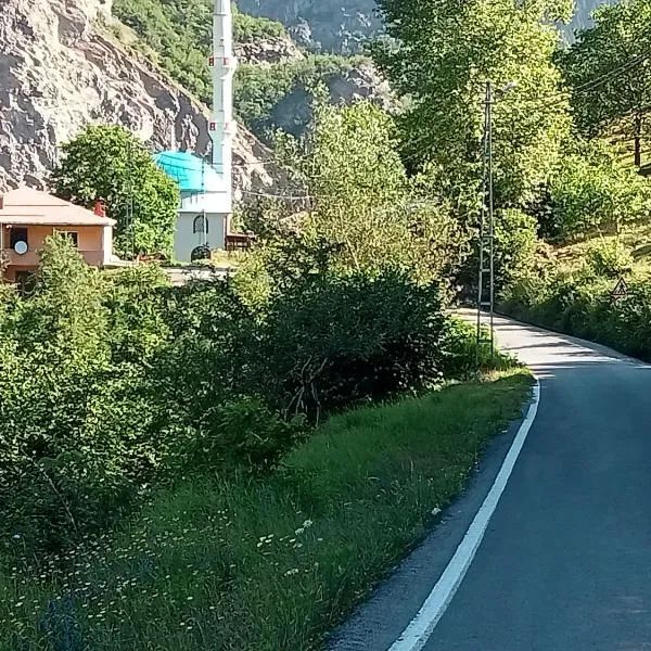 Hamsiköy green garden，位于特拉布宗的酒店