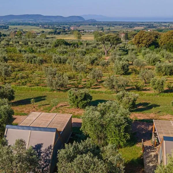 Agriturismo Glamping L'Olivo Country Holidays，位于坎丕里亚麦利蒂玛的酒店